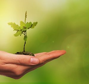 Curso de Gestión Medioambiental: Conceptos e Implantación impartido por Formación Evolution