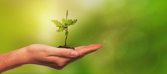 Curso de Gestión Medioambiental: Conceptos e Implantación impartido por Formación Evolution