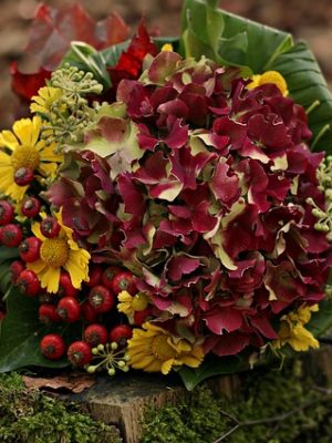 Curso de Trabajos auxiliares en la elaboración de composiciones con flores y plantas impartido por Formación evolution