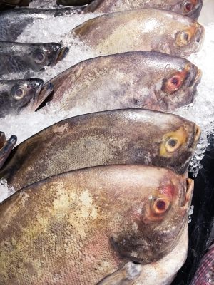 Acondicionado del Pescado y Marisco