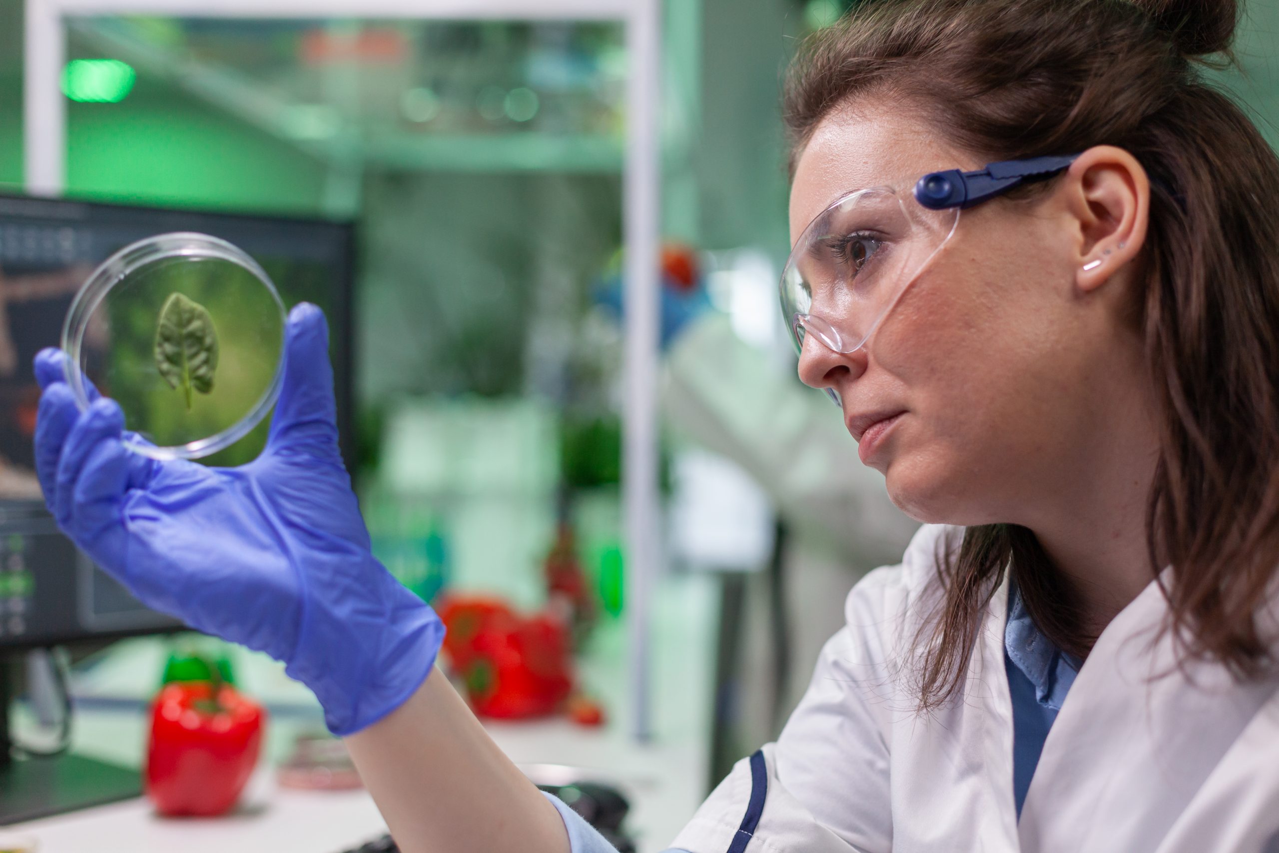 Aplicación de las Medidas de Seguridad y Medio Ambiente en el Laboratorio.