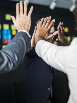 CONSEJO DE DIRECCIÓN DE LA COOPERATIVA: COMPETENCIA DE ORIENTACIÓN AL LOGRO