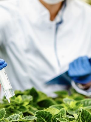 Productos fitosanitarios