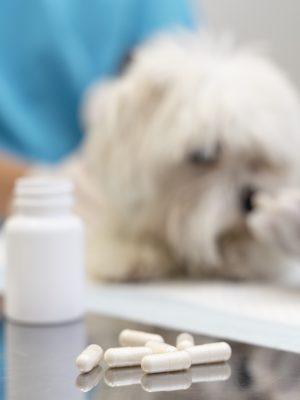 Especialista en Homeopatía Veterinaria Aplicada