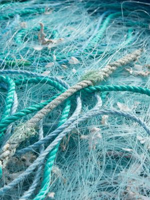 Maniobras de Pesca de Palangre, Arrastre y Cerco