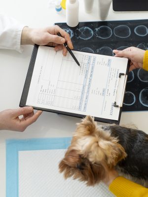 Procedimientos de Imagen para el Diagnóstico en Veterinaria