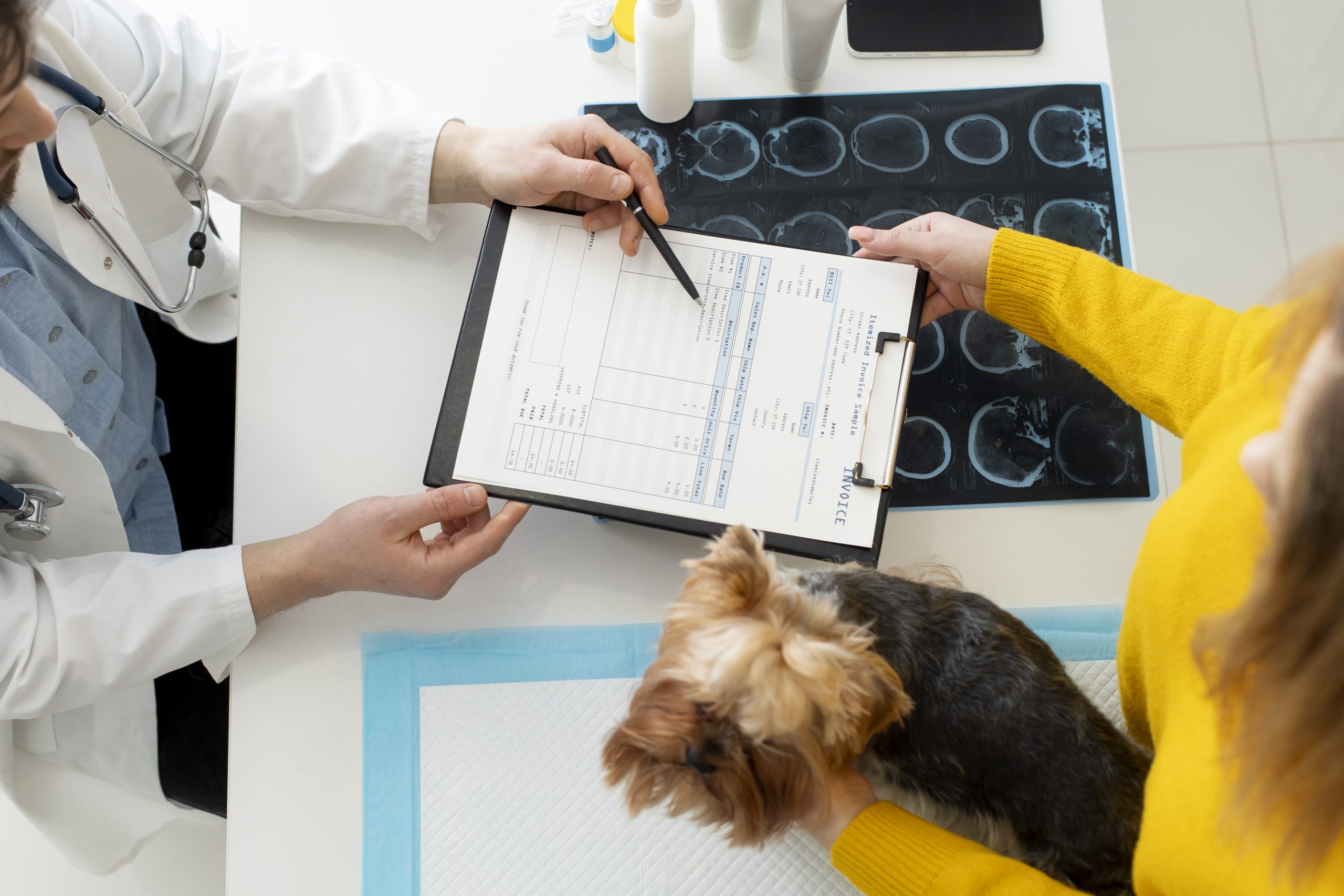 Procedimientos de Imagen para el Diagnóstico en Veterinaria
