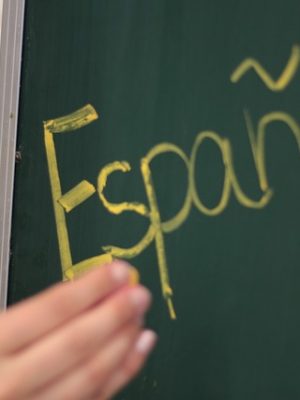 Curso Intensivo Español para Extranjeros A1-A2. Nivel Oficial Consejo Europeo impartido por Formación Evolution