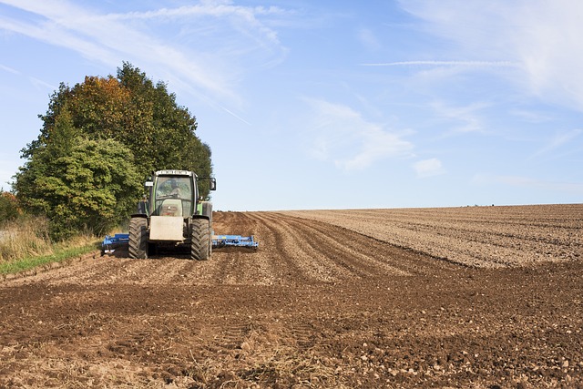 Operaciones auxiliares de preparación del terreno, plantación y siembra de cultivos agrícolas