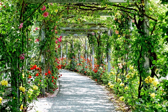 Operaciones para la Instalación de Jardines y Zonas Verdes