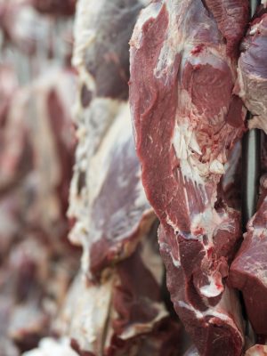 Acondicionamiento de la carne para su uso industrial