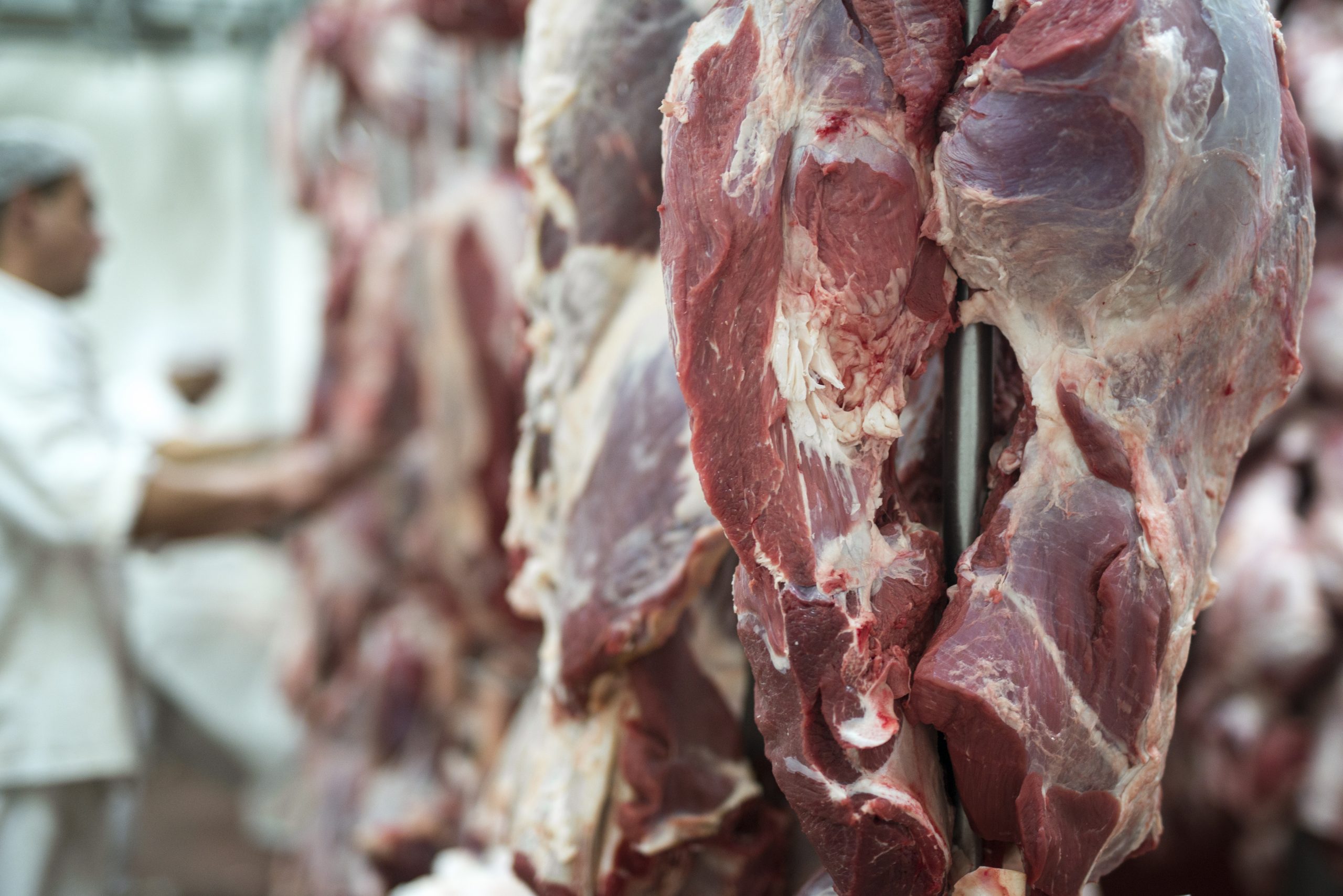 Acondicionamiento de la carne para su uso industrial