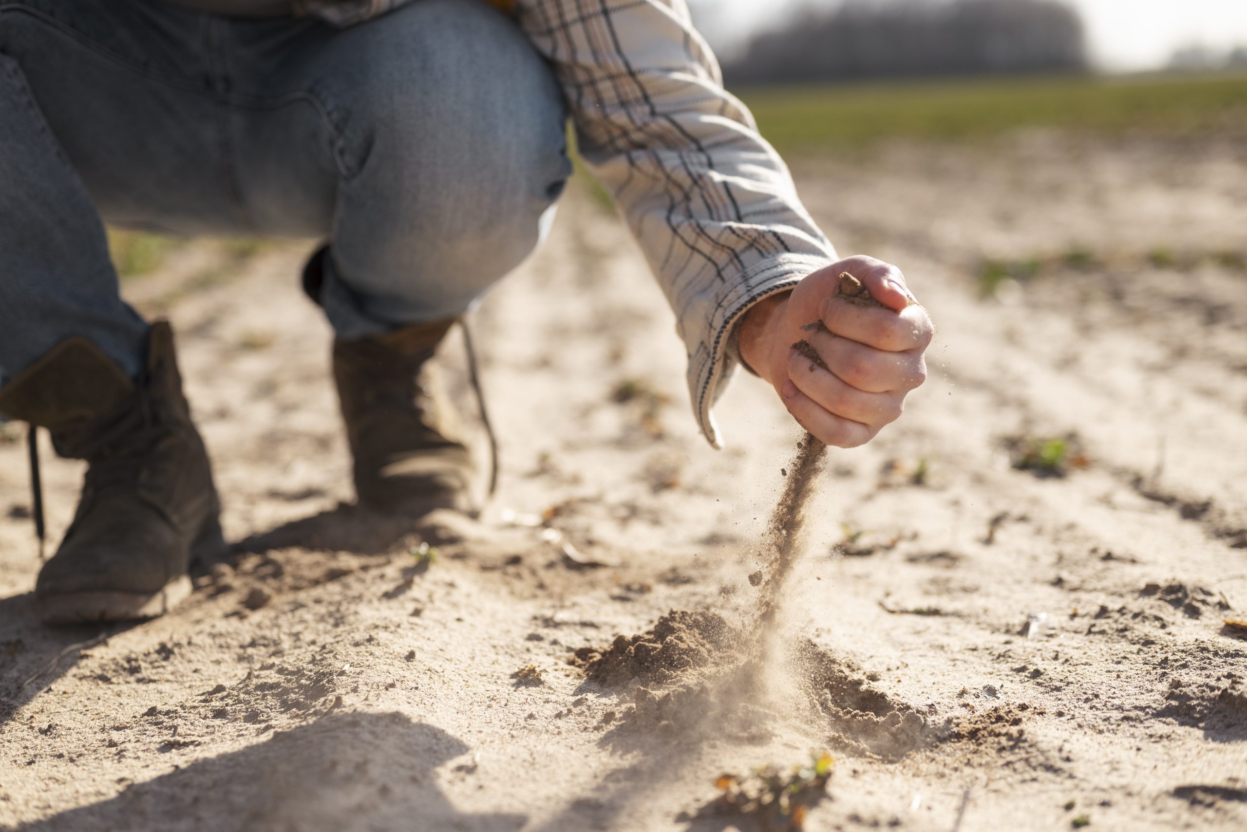 Acondicionamiento del terreno o medio de cultivo en actividades agricolas