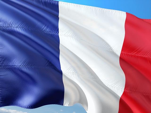 Francés A1