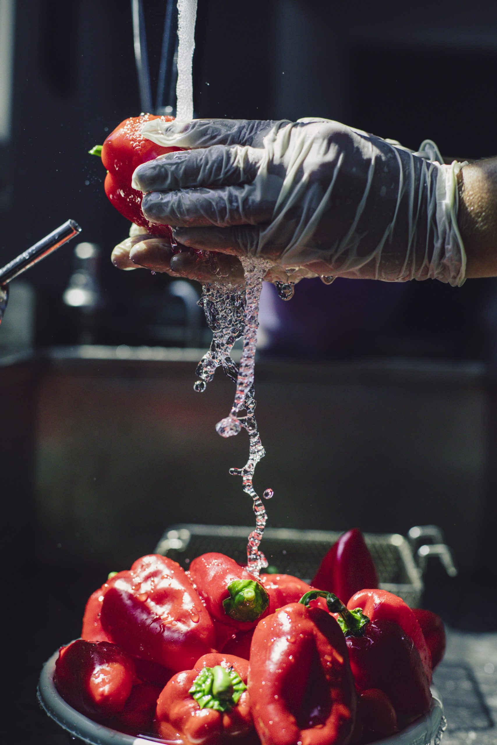 Higiene alimentaria y manipulación de alimentos