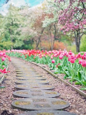 Mantenimiento y Conservación de Parques y Jardines