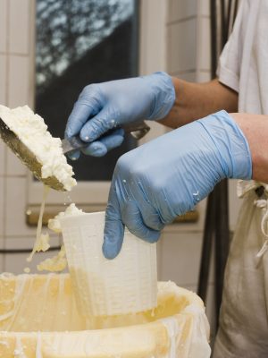 Manipulador de Alimentos. Sector Lácteo