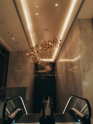 ESPACIOS Y DECORACIÓN COMERCIAL