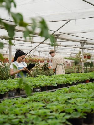 Operaciones Básicas en Viveros y Centros de Jardinería.