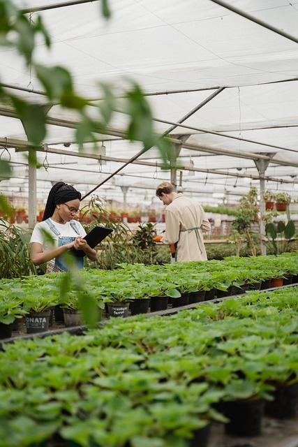 Operaciones Básicas en Viveros y Centros de Jardinería.