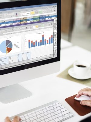 Experto en Microsoft Excel 2019
