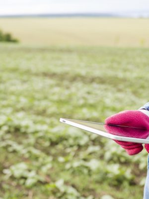 Aplicación de métodos de control fitosanitarios en plantas, suelo e instalaciones