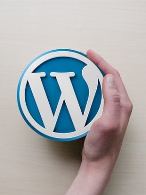 ¿Qué es Drupal y Wordpress?