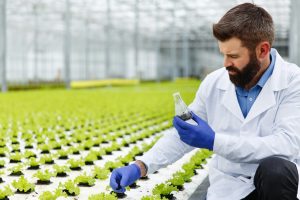 Curso de Asesor de Productos Fitosanitarios