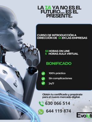 INTRODUCCIÓN A DIRECCIÓN DE INTELIGENCIA ARTIFICIAL EN LAS EMPRESAS
