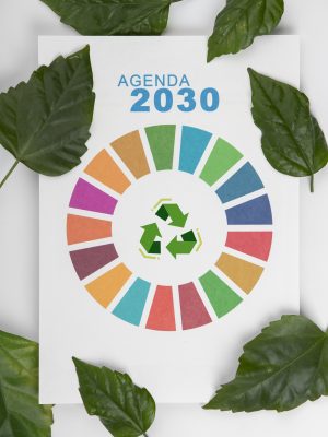 Agenda 2030: sostenibilidad aplicada a la empresa