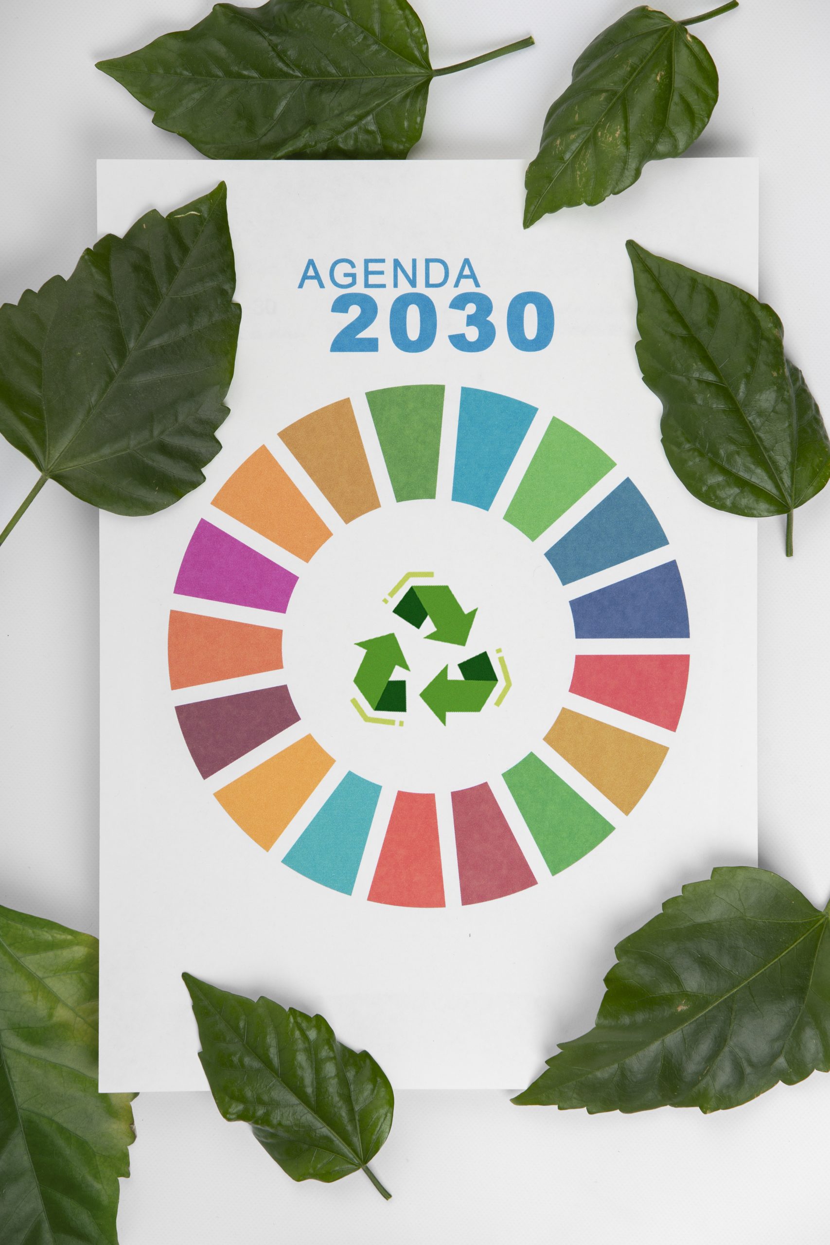Agenda 2030: sostenibilidad aplicada a la empresa
